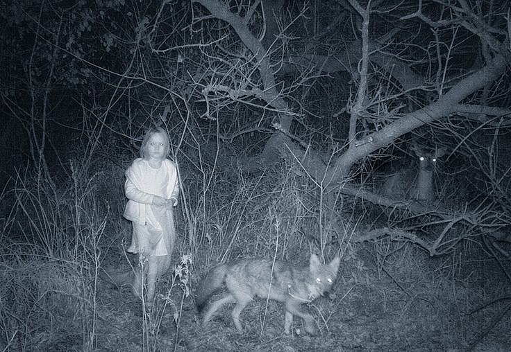 Маёвы и Чудь Белоглазая. Сказание о языческой деревне