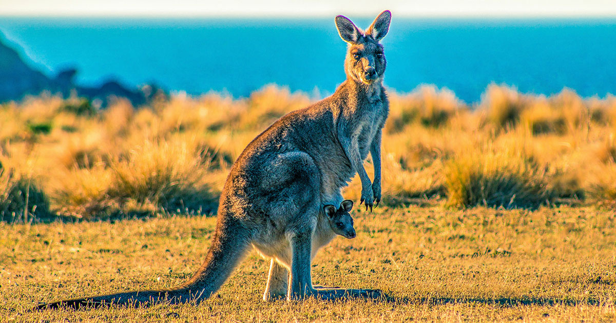 Ondrej Machart / Unsplash