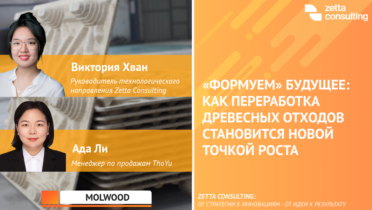 Дизайн - Zetta Consulting