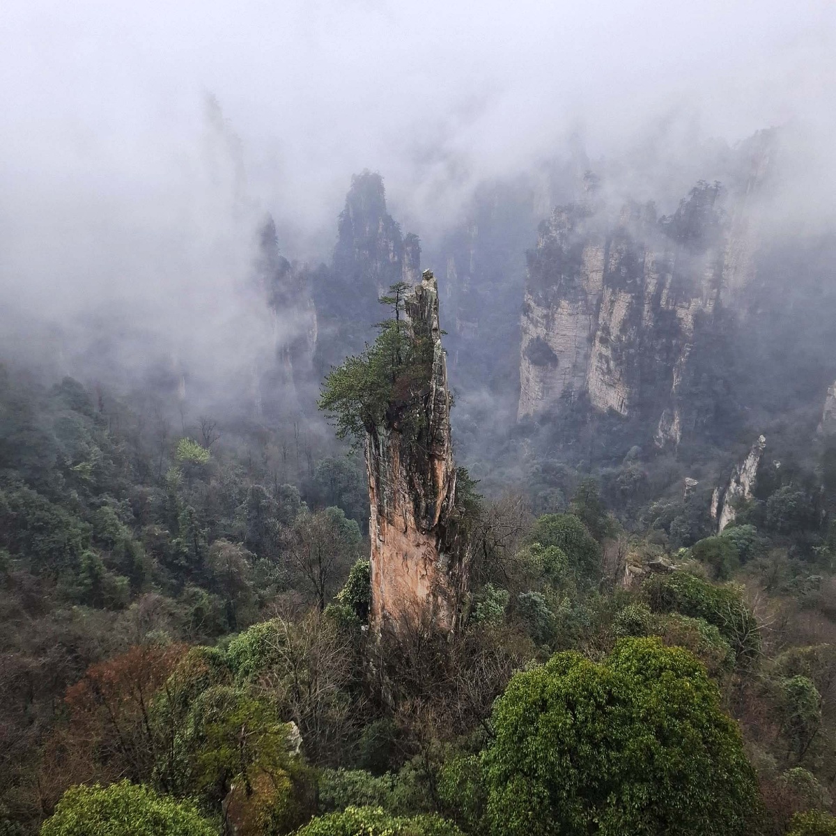 Чжанцзяцзе и его «парящие горы». Фото автора. Листайте карусель.