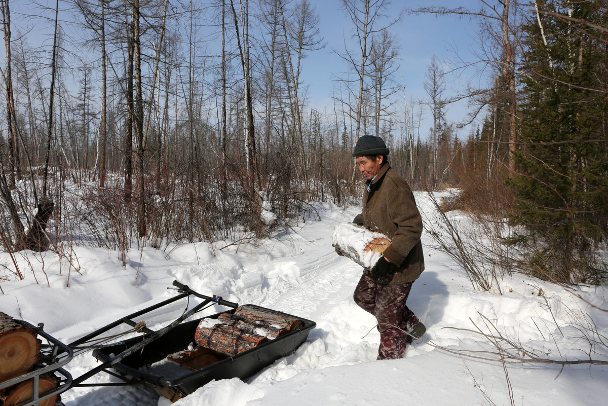 
Георгий Сафонов грузит дрова