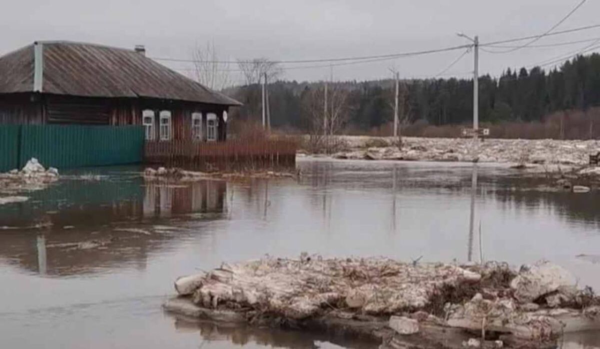     Вода приближается к деревне. Источник: ural.kp.ru Автор фото: Владислав Пинаев