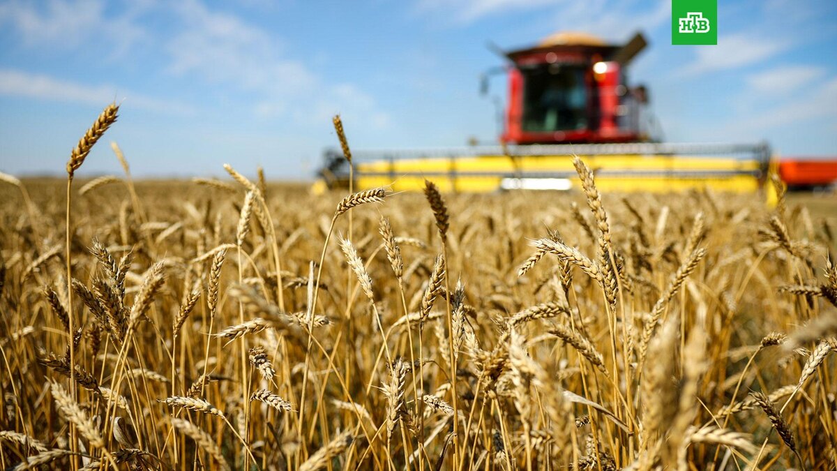    Фото: РИА Новости © 2026, Кирилл Брага