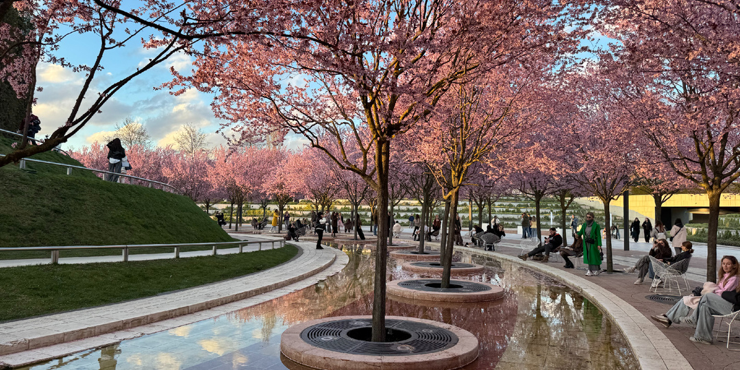 Парк Галицкого в Краснодаре - обзор и мои впечатления