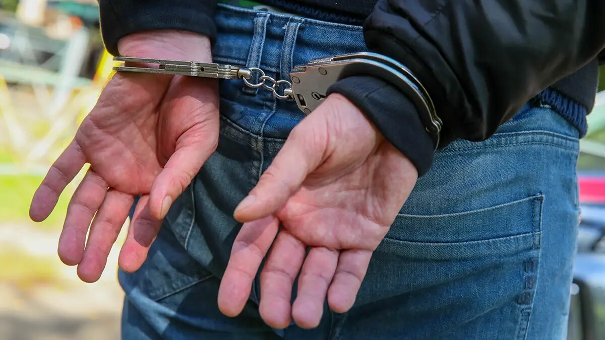    Источник: vm.ru/ Максим Левин