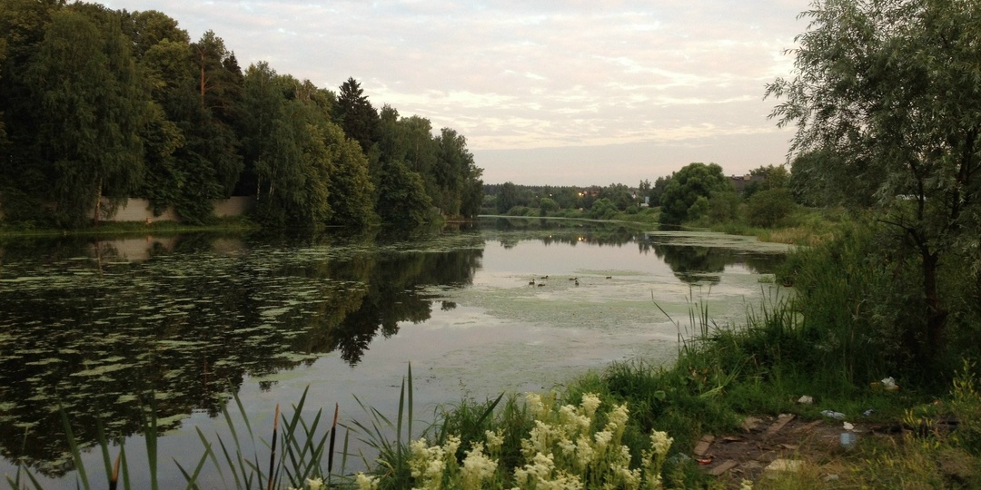 Акция «Вода России» в Одинцовском округе охватит 17 водных объектов