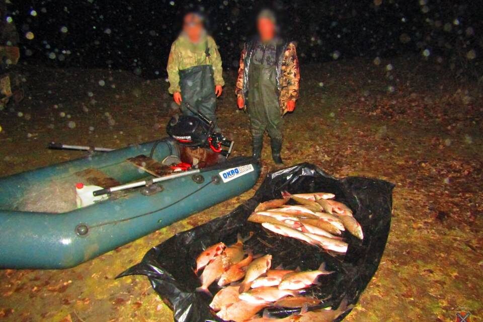    Фото: ГУ МВД России по Волгоградской области