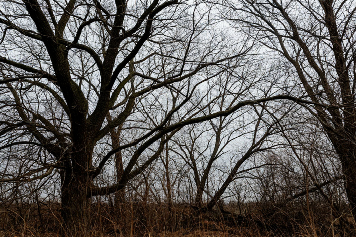    Фото: коллаж RuNews24.ru