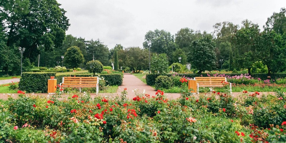 Современный вид большого розария в Сокольниках