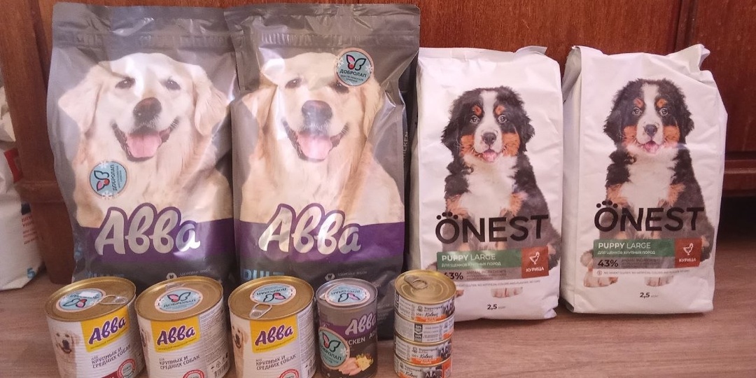 Спасибо огромное за вашу поддержку! Благодаря вашему вниманию и добрым сердцам, нашим пушистым друзьям стало уютнее и радостнее