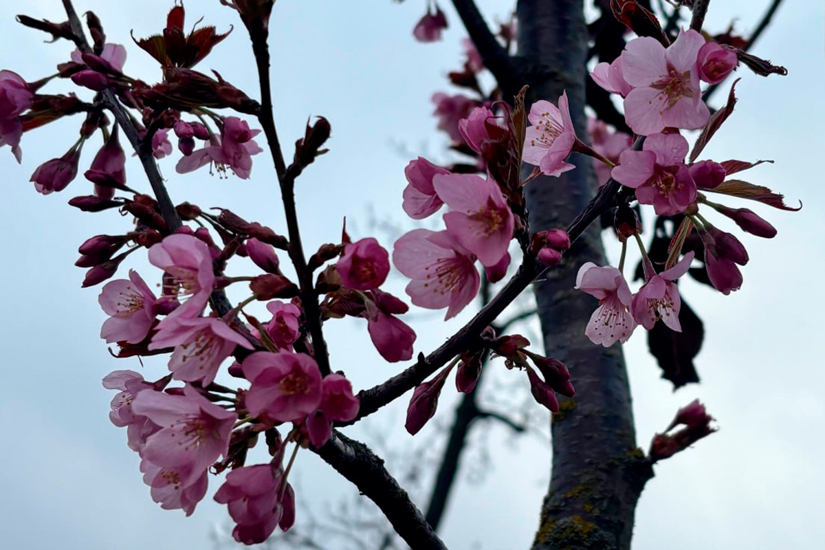    Фото: "Телерадиокомпания Гродно" / Telegram