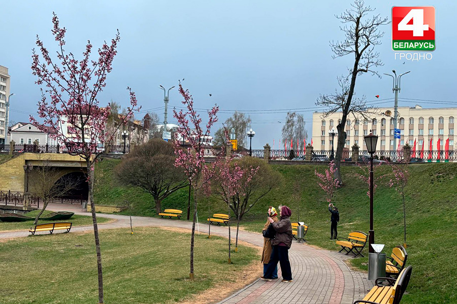    Фото: "Телерадиокомпания Гродно" / Telegram