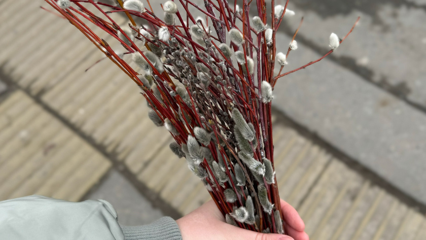    Фото: ПроГород