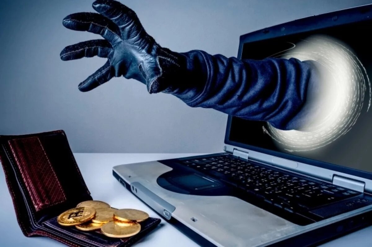    В Ярославской области резко сократилось число киберпреступлений