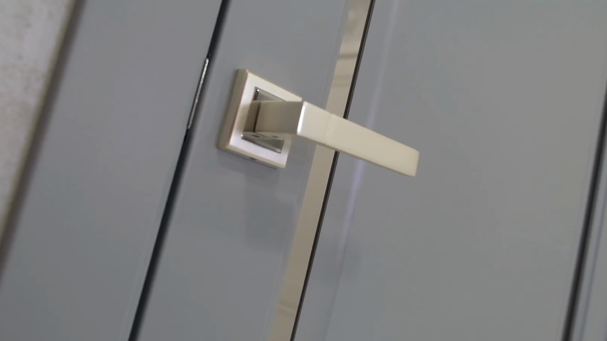 Дверь с зеркальной вставкой фабрики FlyDoors