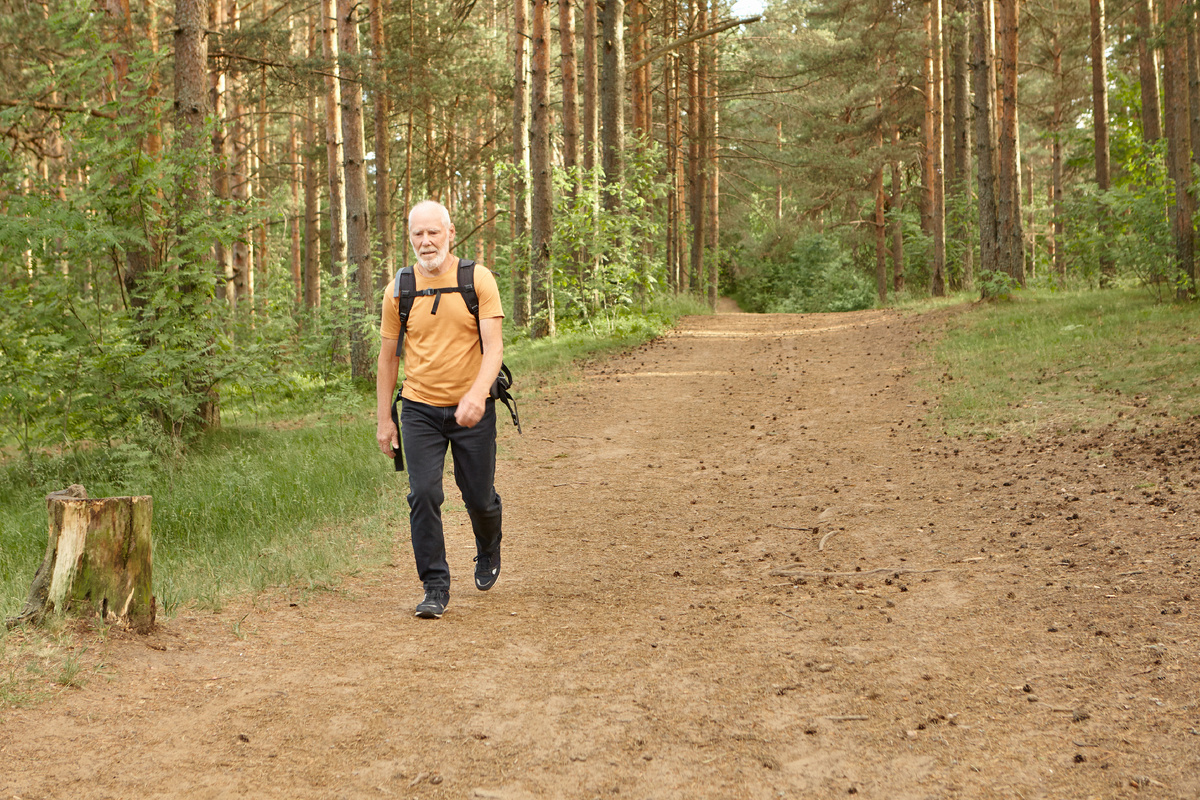<a href="https://ru.freepik.com/free-photo/lonely-senior-man-walking-pine-woods-warm-autumn-day-full-length-bearded-elderly-european-male-hiker-wearing-travel-clothes-carrying-rucksack-while-backpacking-mountain-forest-alone_11892903.htm#fromView=search&page=1&position=47&uuid=795a7b16-d51e-46e8-8241-7e92aa192c15&query=%D0%BF%D1%80%D0%BE%D0%B3%D1%83%D0%BB%D0%BA%D0%B0+%D0%BF%D0%BE+%D0%BF%D0%B5%D1%80%D0%B5%D1%81%D0%B5%D1%87%D0%B5%D0%BD%D0%BD%D0%BE%D0%B9+%D0%BC%D0%B5%D1%81%D1%82%D0%BD%D0%BE%D1%81%D1%82%D0%B8">Изображение от karlyukav на Freepik</a>