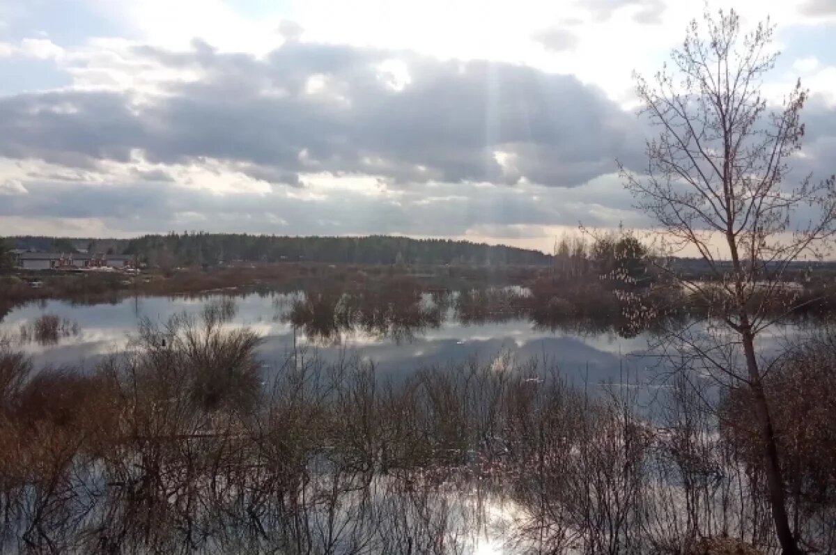    В Рязанской области уровень Оки продолжает расти за счет мещерских притоков