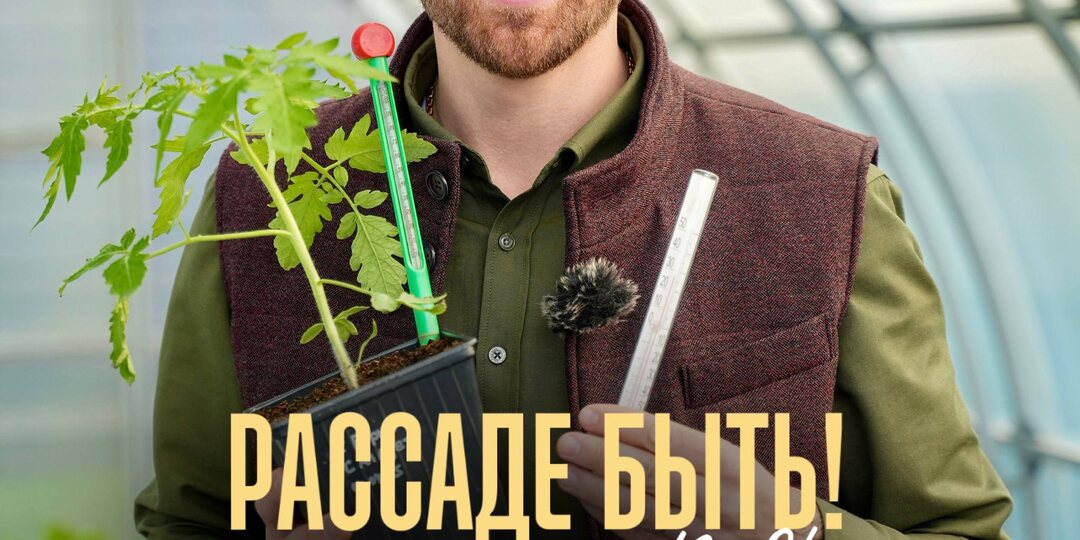 🌱 РАССАДА УЖЕ СКОРО! СТАРТ ПРОДАЖ — 13 АПРЕЛЯ