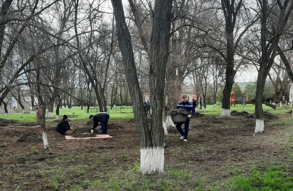    Фото: администрация Груциновского поселения. Галина Ященко