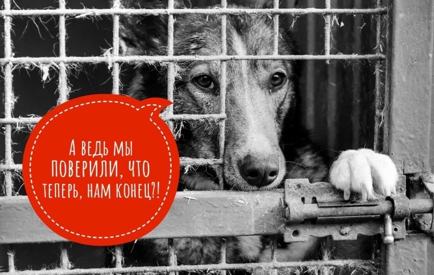 Увы, в этот раз все кончено… Хоспису реально конец!