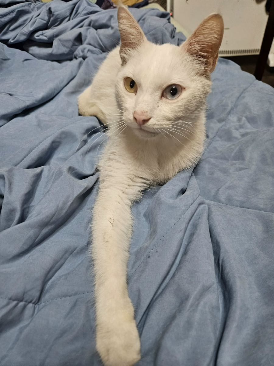 Фото из дома...