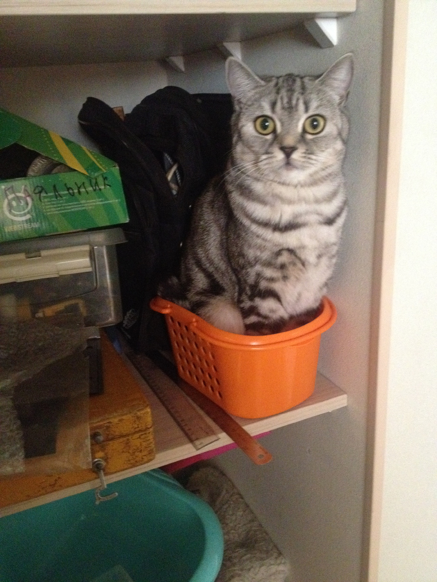 Барбариска в корзинке