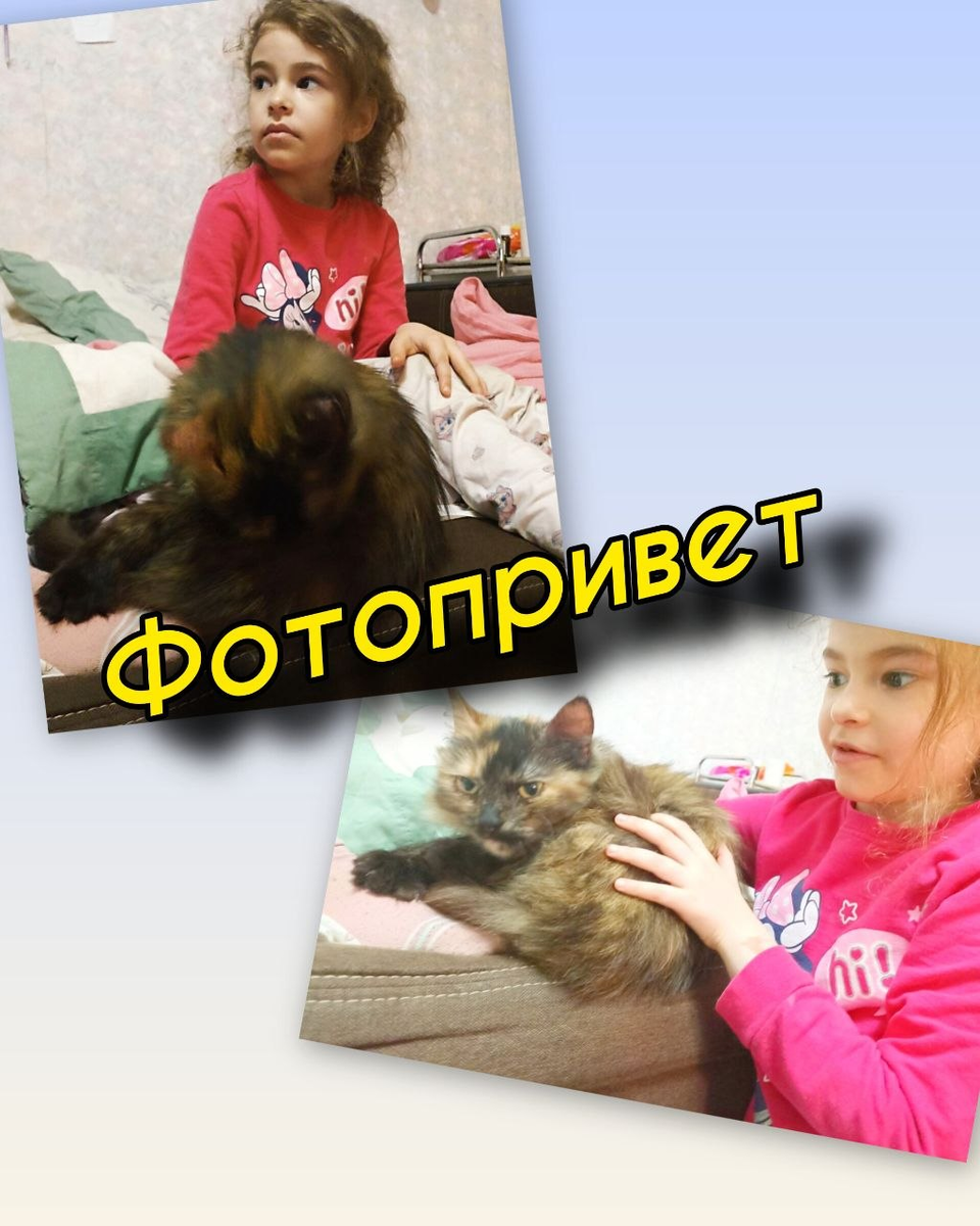 Фотопривет из дома