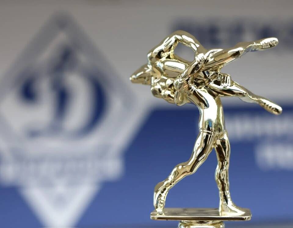 Фото: аппарат вице-премьера РТ Рината Садыкова