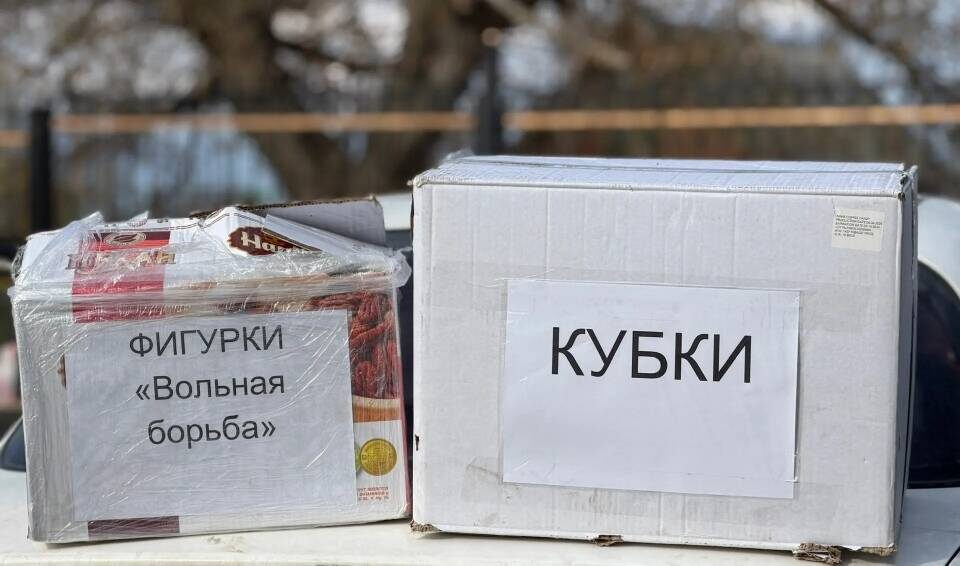 Фото: аппарат вице-премьера РТ Рината Садыкова