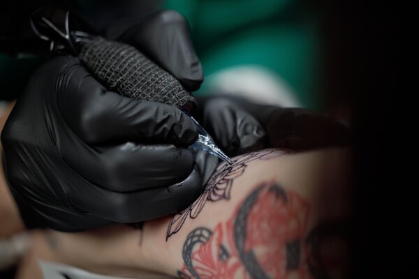 Dan Gutu/Shutterstock/FOTODOM   📷