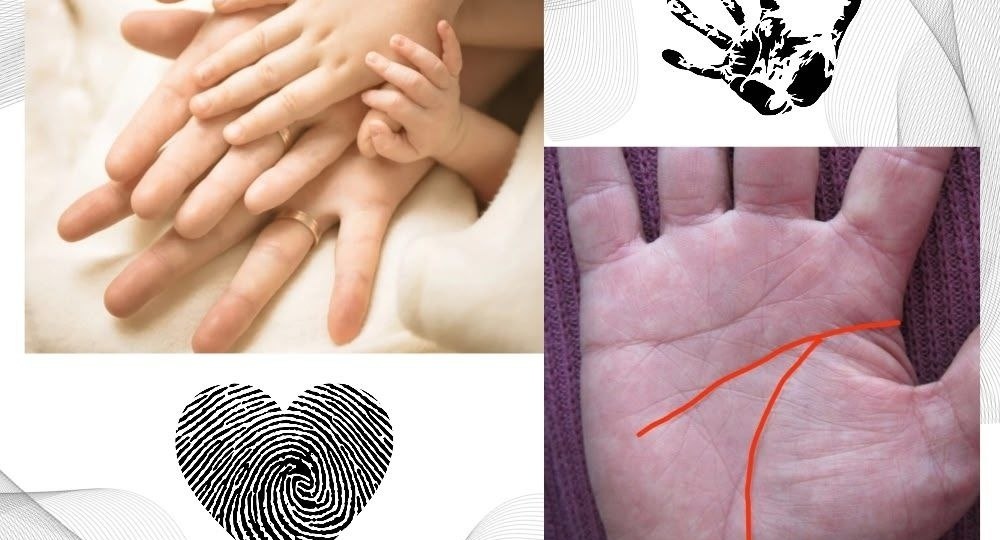 Поздняя самостоятельность