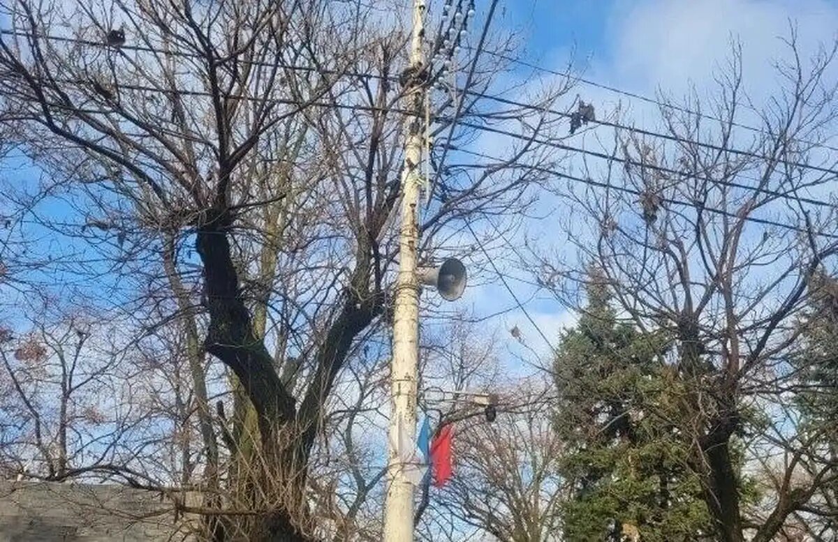    Фото пресс-службы администрации Армавира