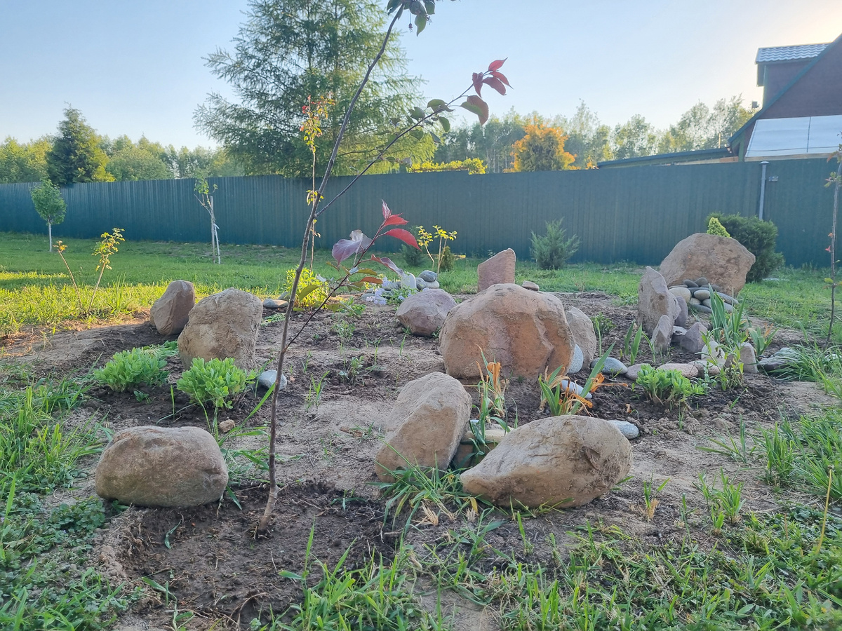 Так клумба выглядит по весне - прикати камни, укати камни) веселимся!