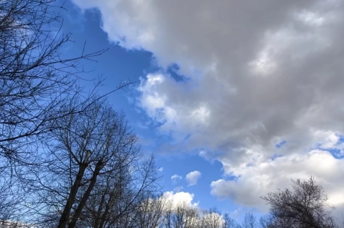    Опубликована сводка по оперативной обстановке в Курской области за сутки