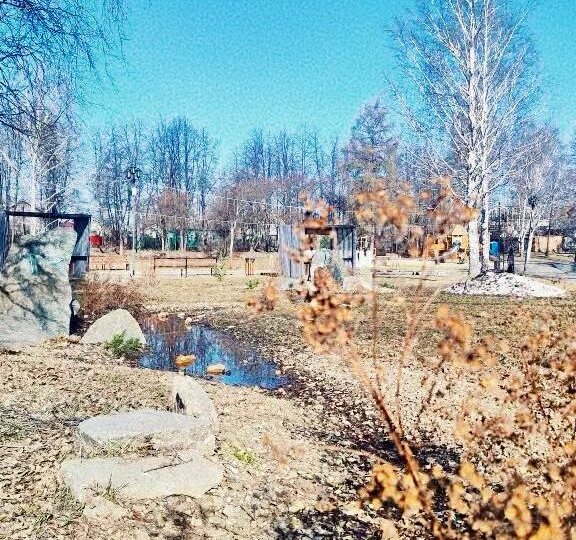 Сухой ручей в Историческом сквере стал