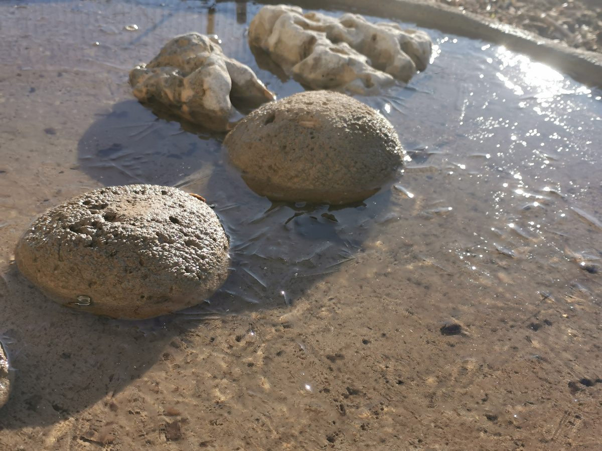 Поилка из гипертуфа отлично перезимовала в открытом грунте