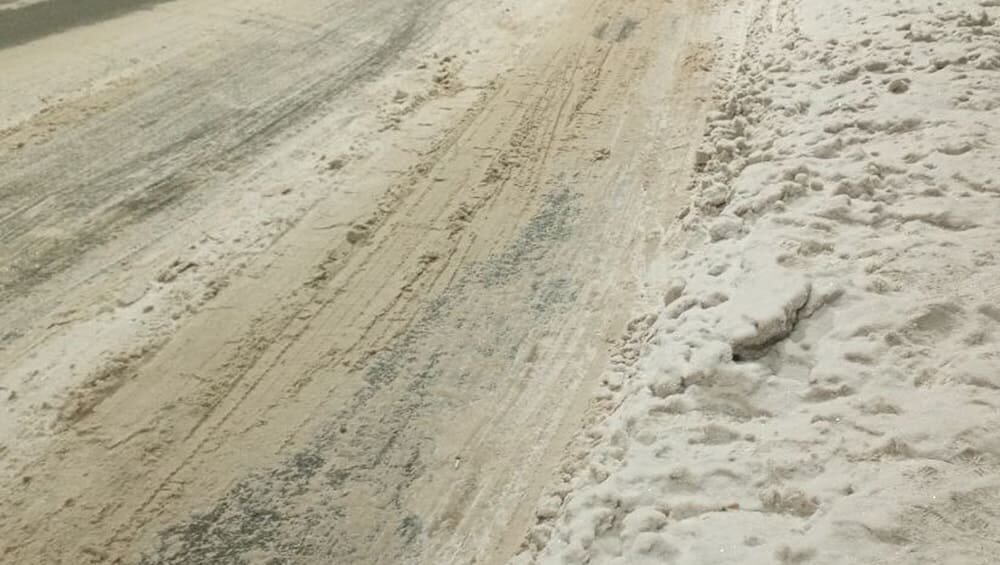    Фото: «Брянские новости»