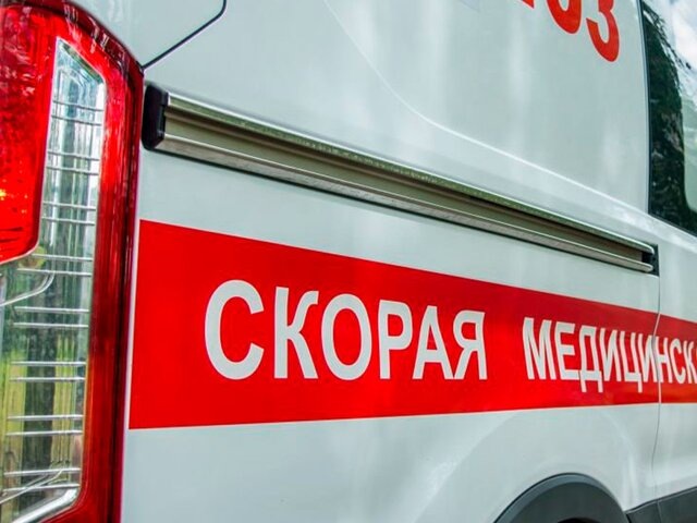    Фото: портал мэра и правительства Москвы/Юлия Иванко