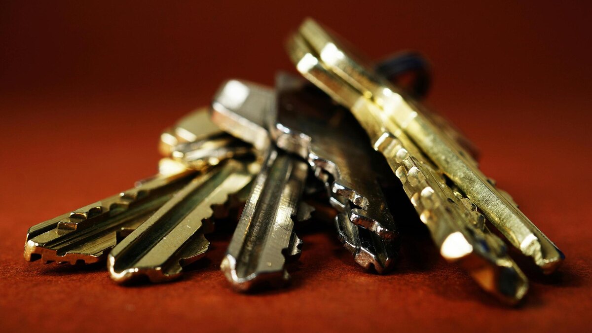    Фото: pexels.com