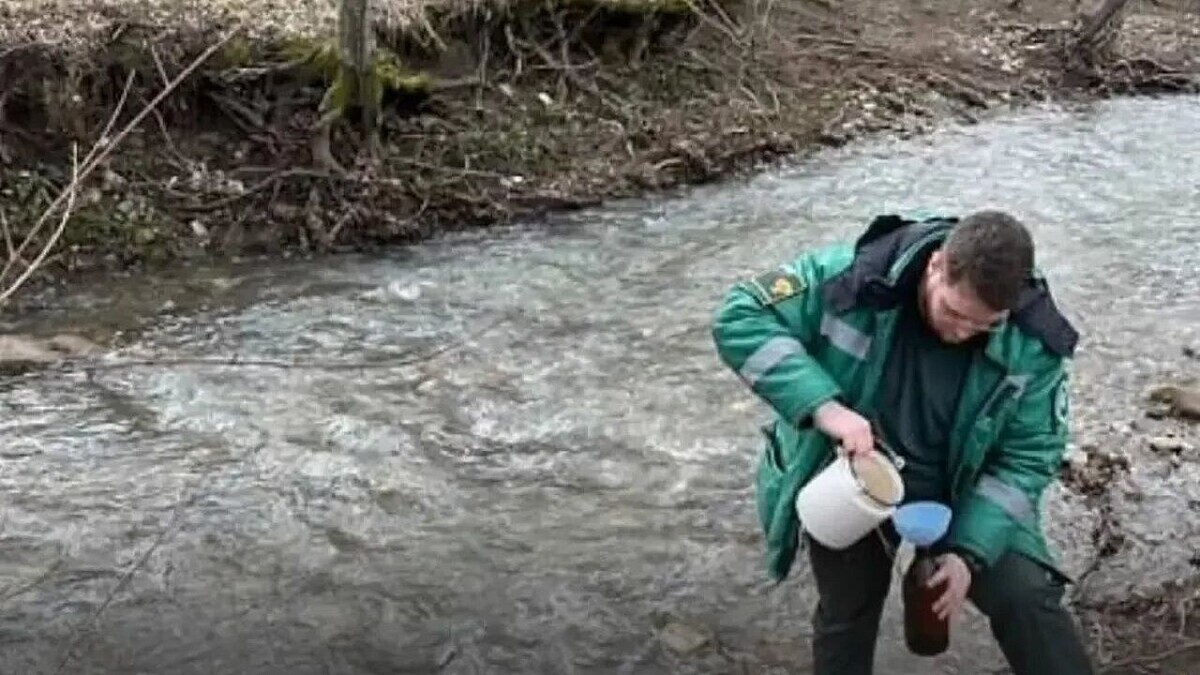    Фото пресс-службы Росприроднадзора