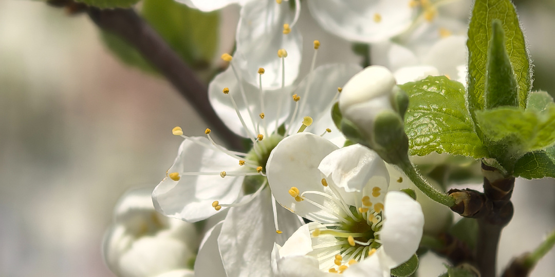 Исповедь той, кто запуталась.
