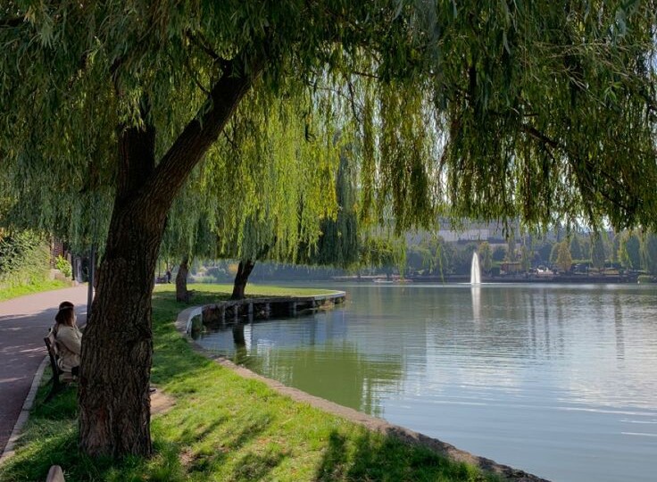 Меры предосторожности на природе весной!