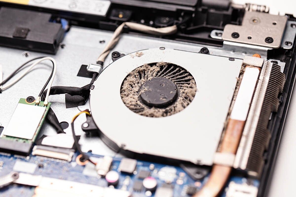 Осторожно убрать пыль можно с помощью кисточки. Источник: photopixel / Shutterstock / FOTODOM📷
