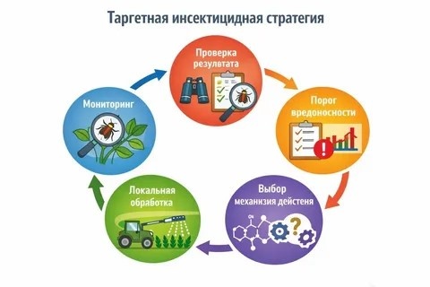 После обработки: мониторинг, повторные обработки и поддержка полезных насекомых