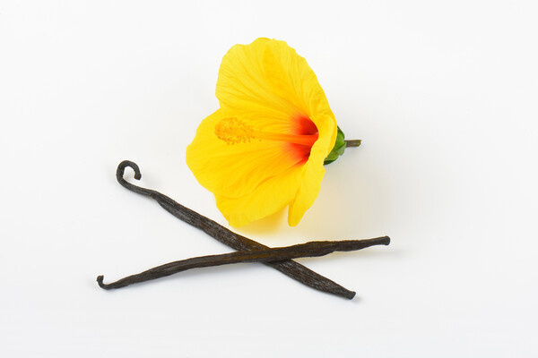 Global Look Press   📷