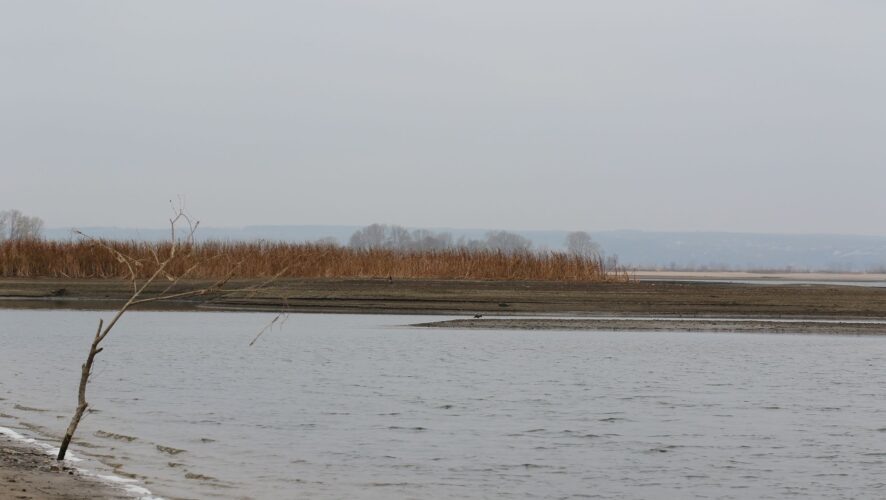    KazanFirst/Сергей Журавлев