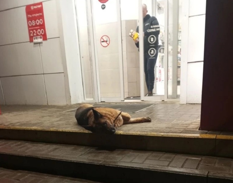 Листайте вправо, чтобы увидеть больше изображений