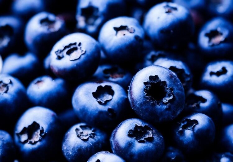    Фото: Медведева Анна, AgroXXI.ru