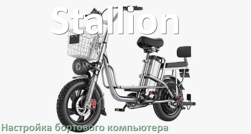 
Как на электровелосипеде Stallion настроить бортовой компьютер