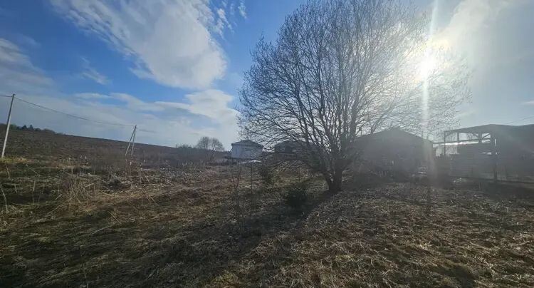    Участок на торгах в Подмосковье / Единый портал торгов Московской области ЕАСУЗ